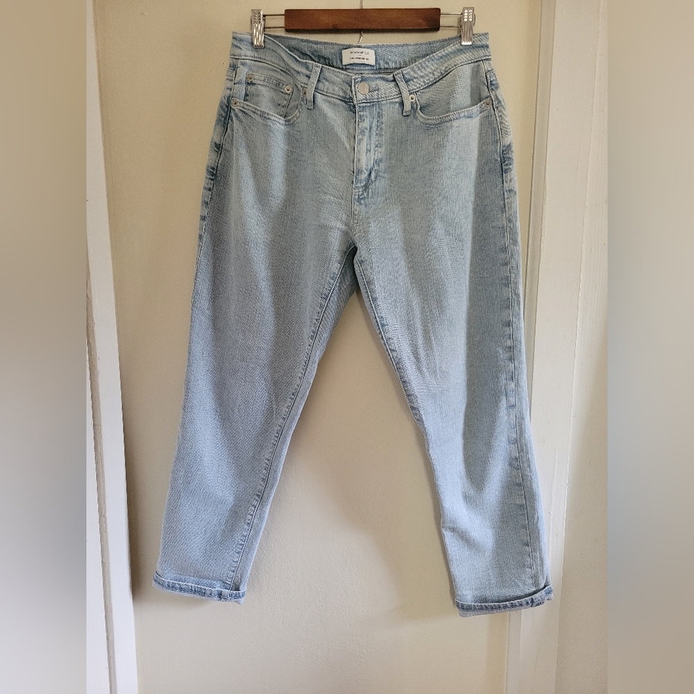 Banana Republic Classic Light Wash Mid Rise Straight Leg Girlfriend Jeans 8/29